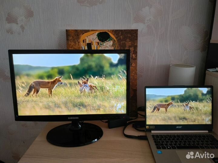 Монитор Samsung s22c300