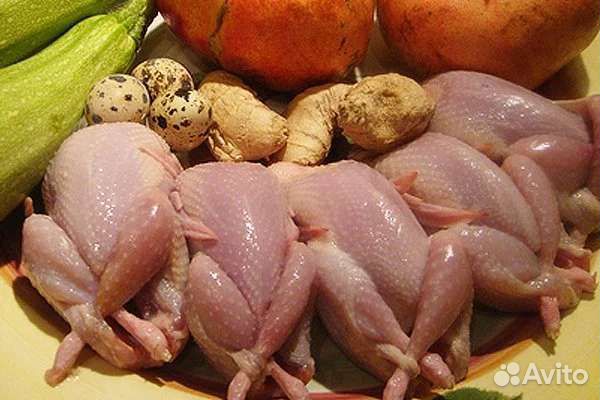 Перепелиное мясо