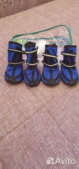 Ботинки для животных