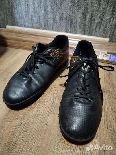 Сороконожки