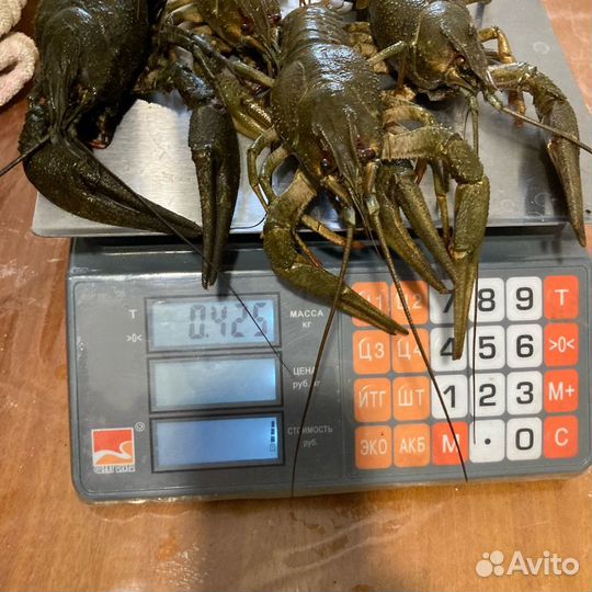 Продукты питания