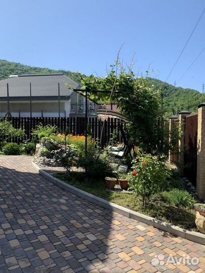 Отдых на черном море Ольгинка