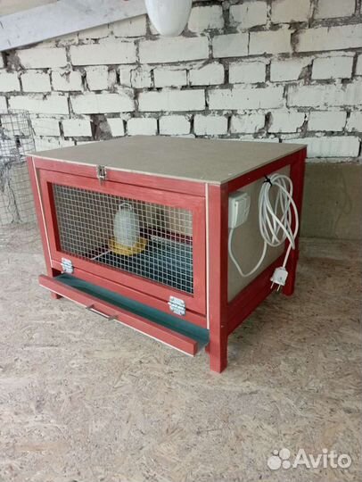 Продажа, Брудеров, Клеток для перепелов