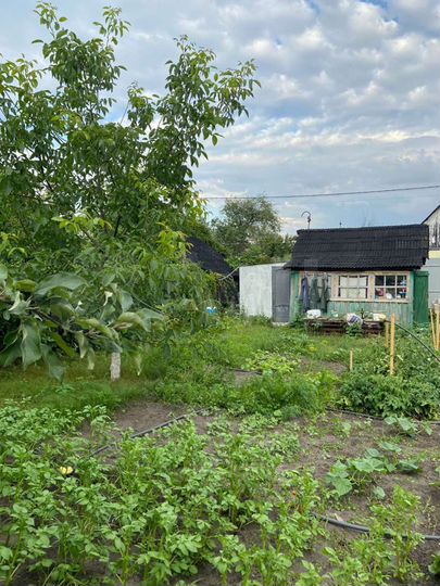 Дача 20 м² на участке 6,5 сот.