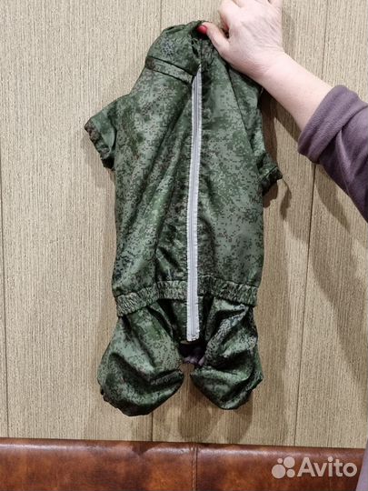 Комбинезон для французского бульдога