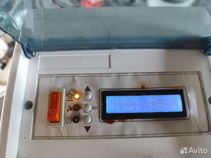 Инкубатор несушка