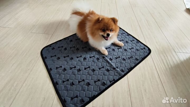 Пеленка многоразовая впитывающая для животных