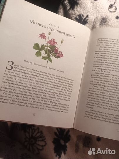 Фрэнсис Бернетт Таинственный сад