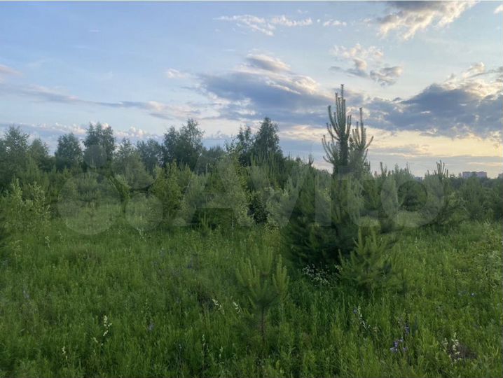 Участок 6 сот. (ИЖС)