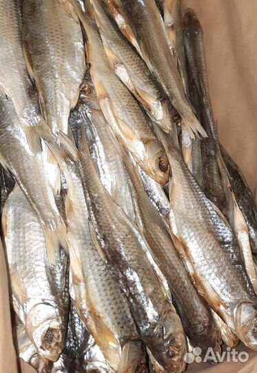 Астраханская вобла