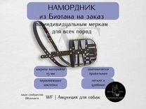 Намордники, поводки, ошейники из биотана для собак