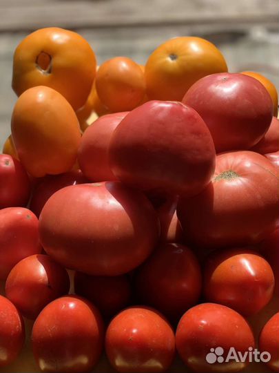 Помидоры