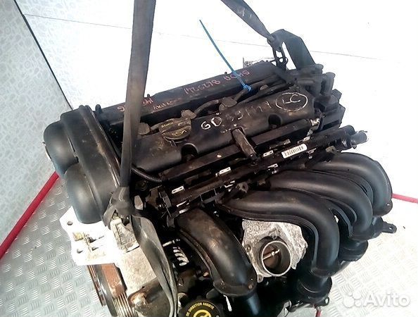 Двигатель Ford Focus 2 shda shdb 1,6 100 л.с