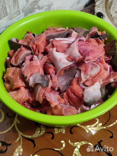 Натуральное питание для кошек