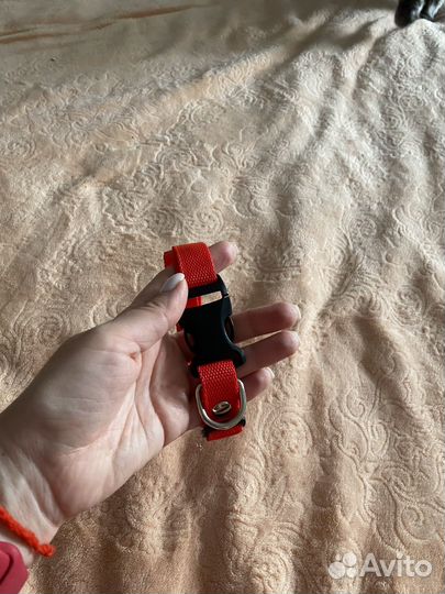 Ошейник для собак