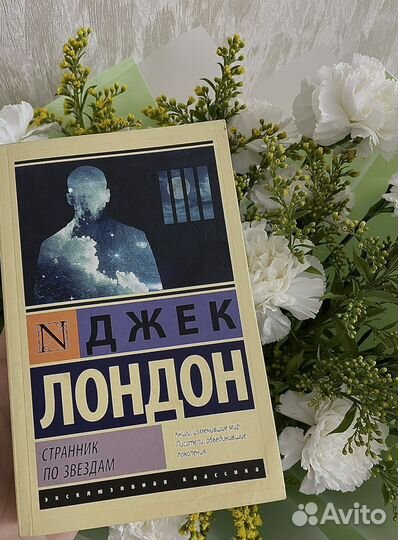 Книги джек лондон