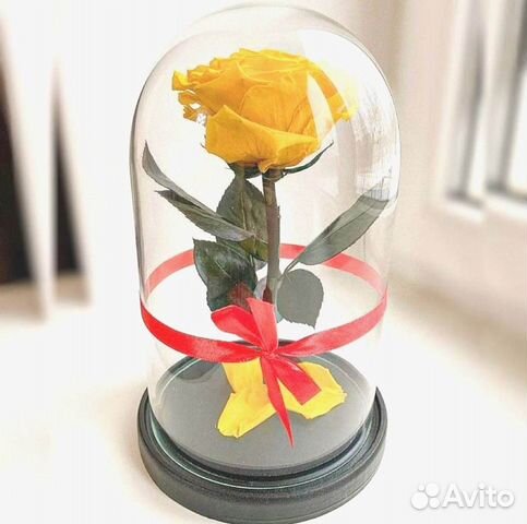 Роза в колбе. Качественная