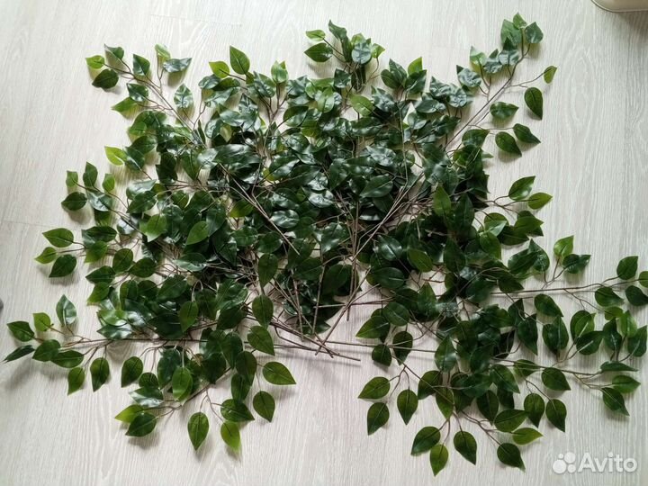 Ветки фикуса искусственные