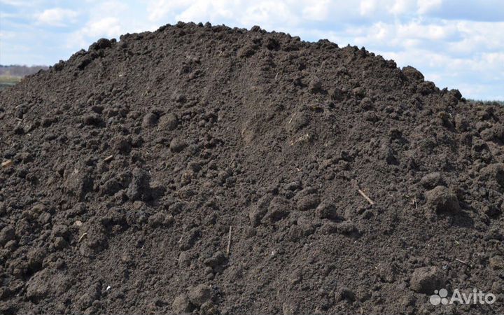 Приму грунт бесплатно