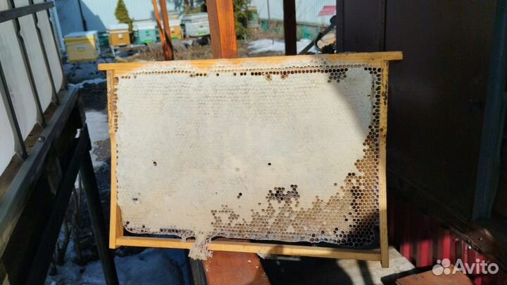 Медовые рамки