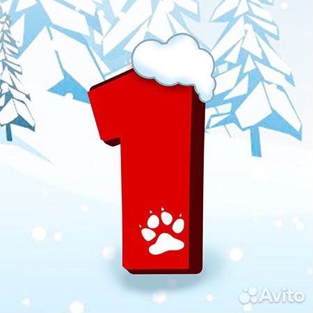 Адвент Календарь детский с заданиями 2023-2024г