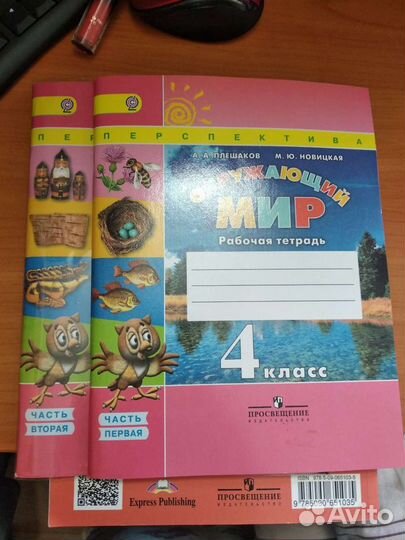 Рабочие тетради 4 класс