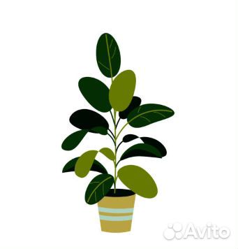 Сборщик-Упаковщик, Сборщица-Упаковщица (без опыта)