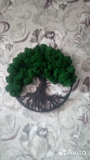 Панно из мха 