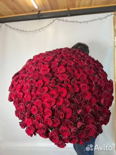 301 роза с доставкой