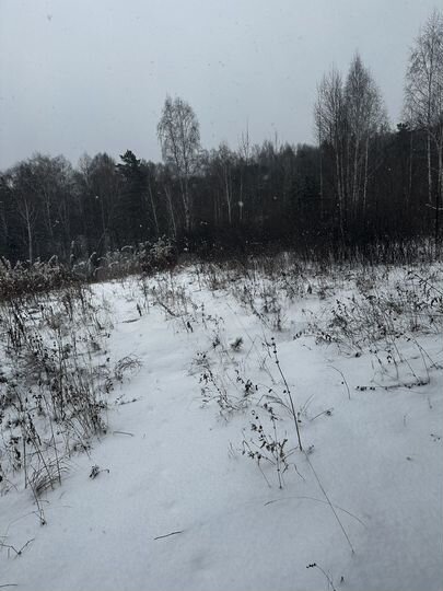 Участок 12,9 сот. (СНТ, ДНП)