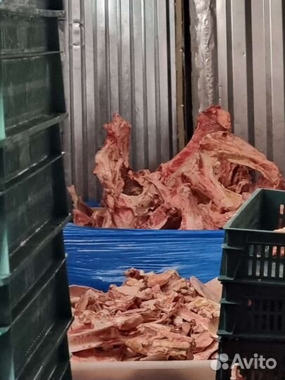 Кость крс (говяжья)