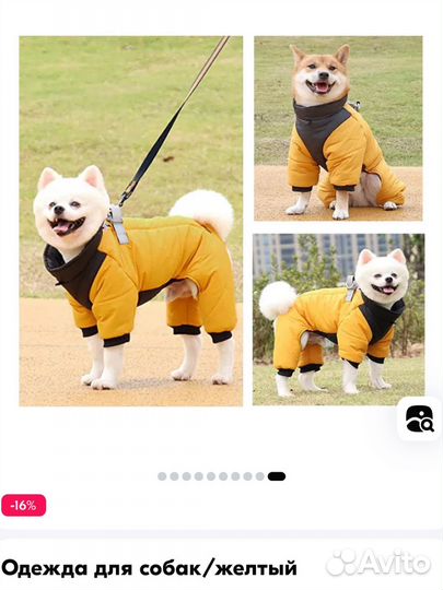 Комбинезон для маленькой собаки