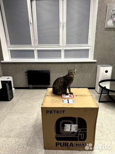 Автоматический лоток для животных petkit