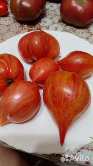 Коллекционные семена томатов