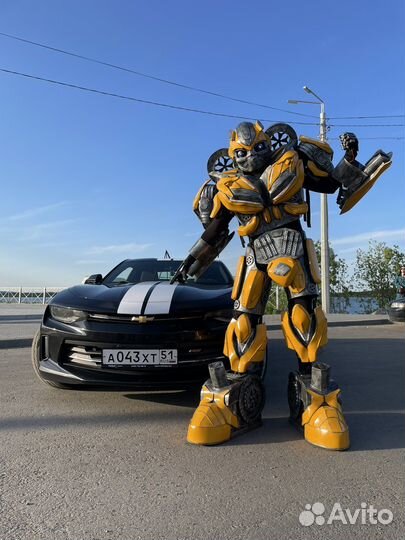 Бамблби Мончегорск