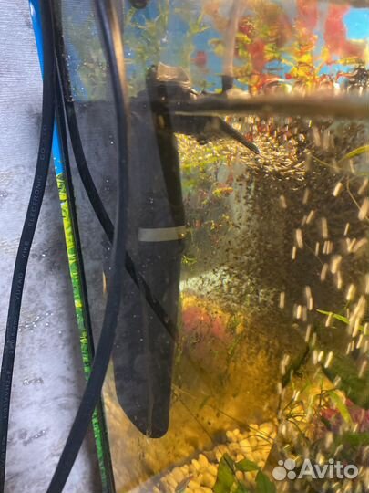 Аквариум 40 литров