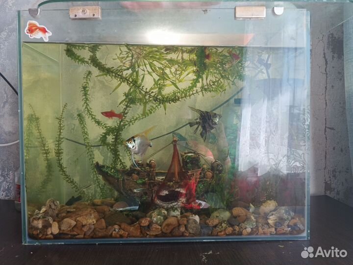 Аквариум