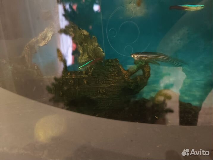 Аквариум
