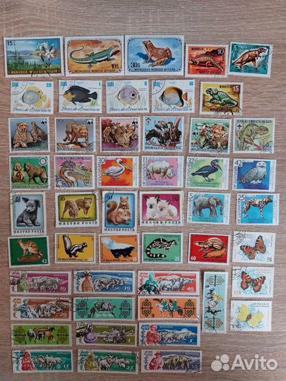 Марки СССР флора и фауна