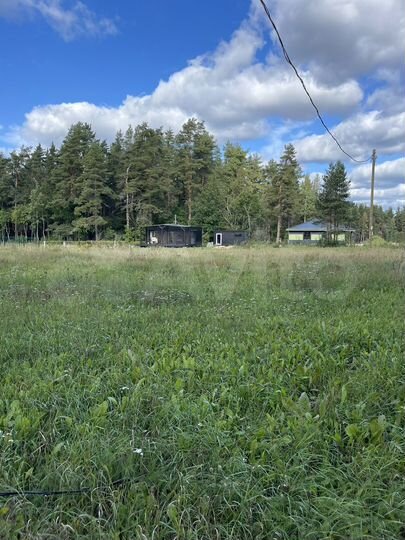 Участок 10,2 сот. (СНТ, ДНП)