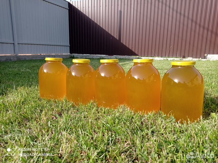 Мед 2023г с личной пасеки