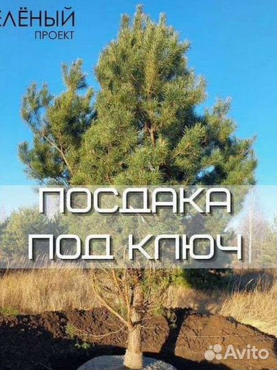 Крупномеры под ключ