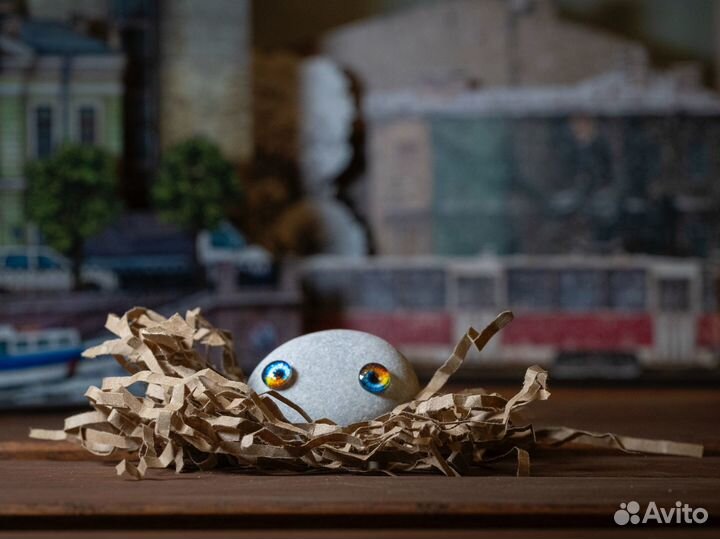 Камень-питомец из Кореи - 