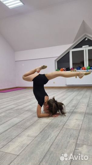 Художественная гимнастика