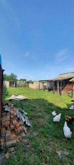 Дом 64 м² на участке 40 сот.