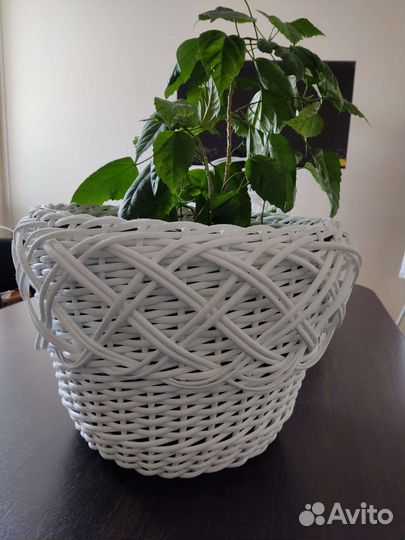 Кашпо из ротанга 20 литров