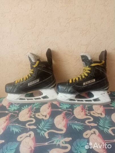 Коньки bauer supreme s180