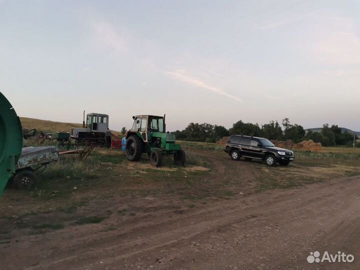 Действующий высоко доходный чесночный бизнес