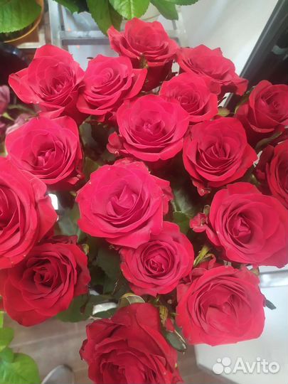 Цветы Розы 21, 31, 51,101 с доставкой