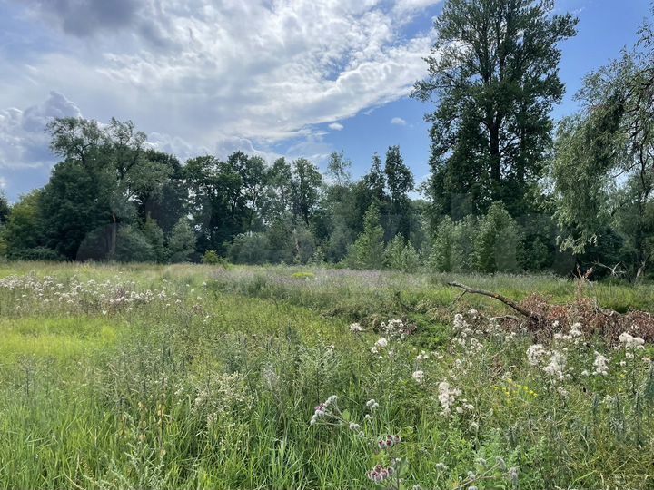 Участок 12 сот. (ИЖС)